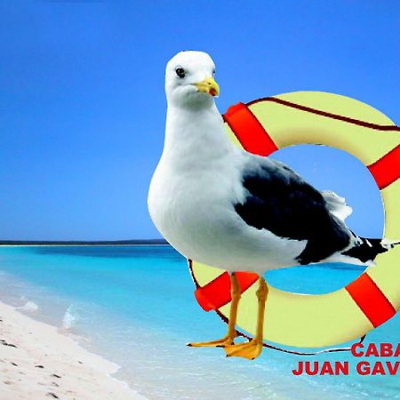 Cabanas Juan Gaviota Punta de Choros Exteriér fotografie