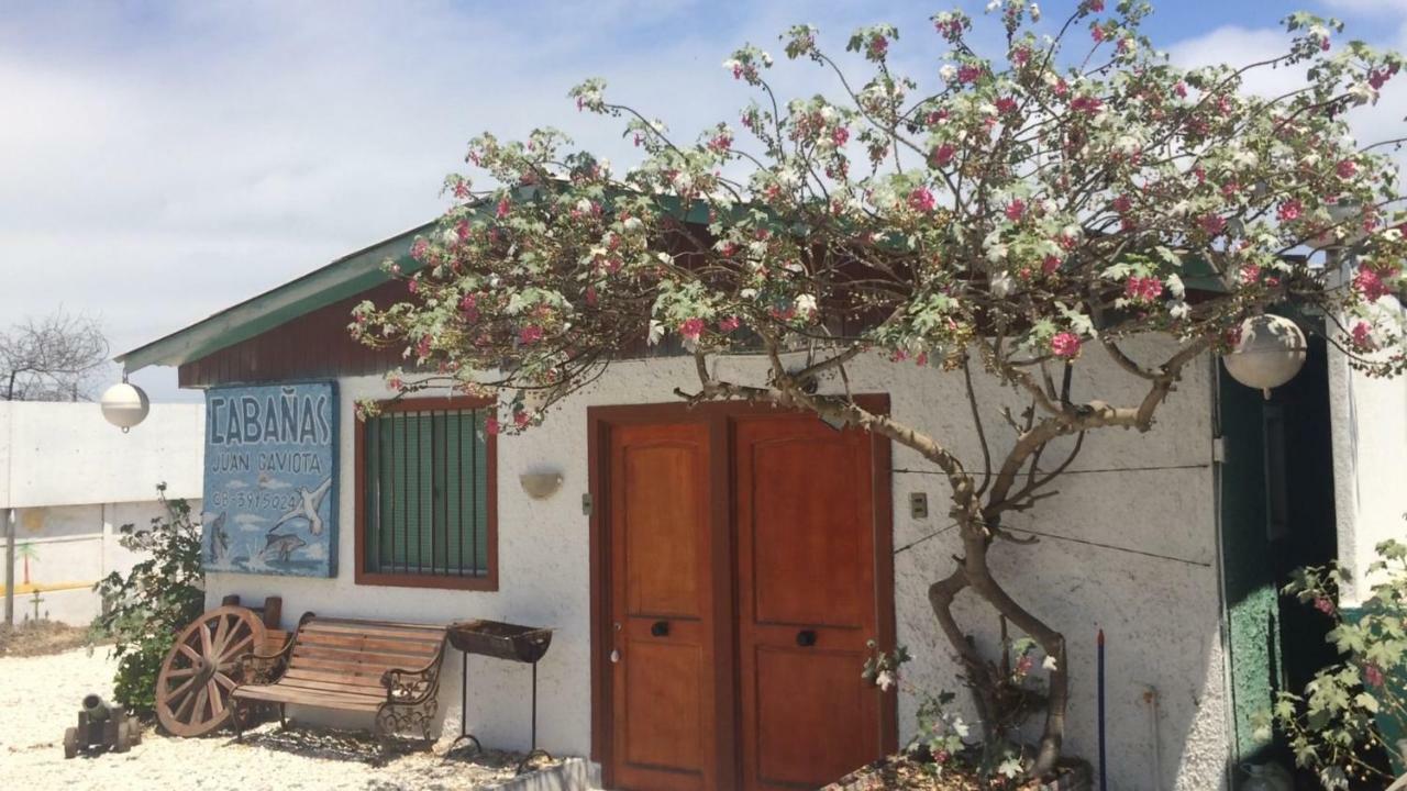 Cabanas Juan Gaviota Punta de Choros Exteriér fotografie