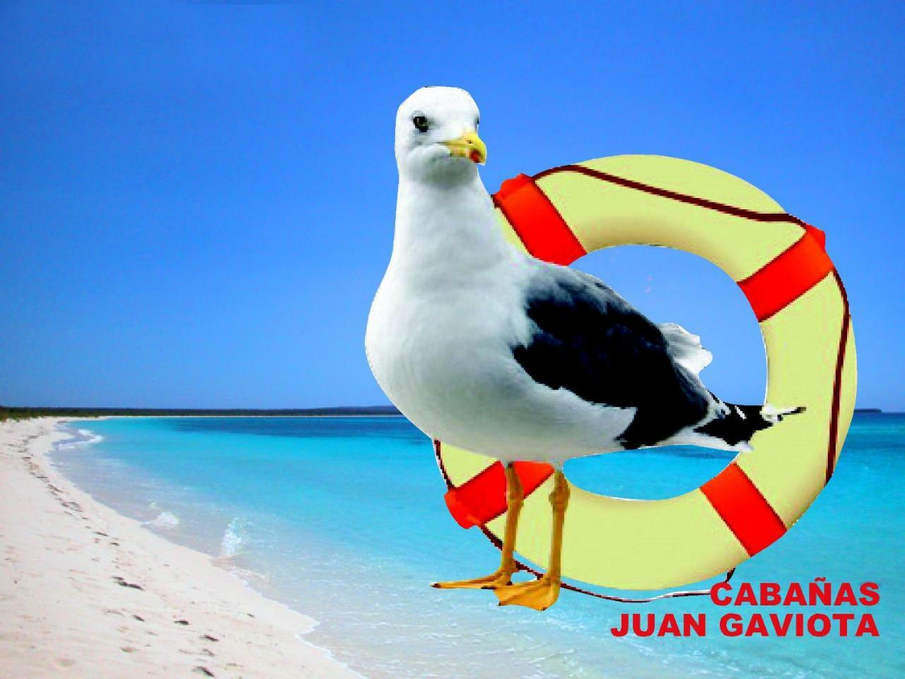 Cabanas Juan Gaviota Punta de Choros Exteriér fotografie