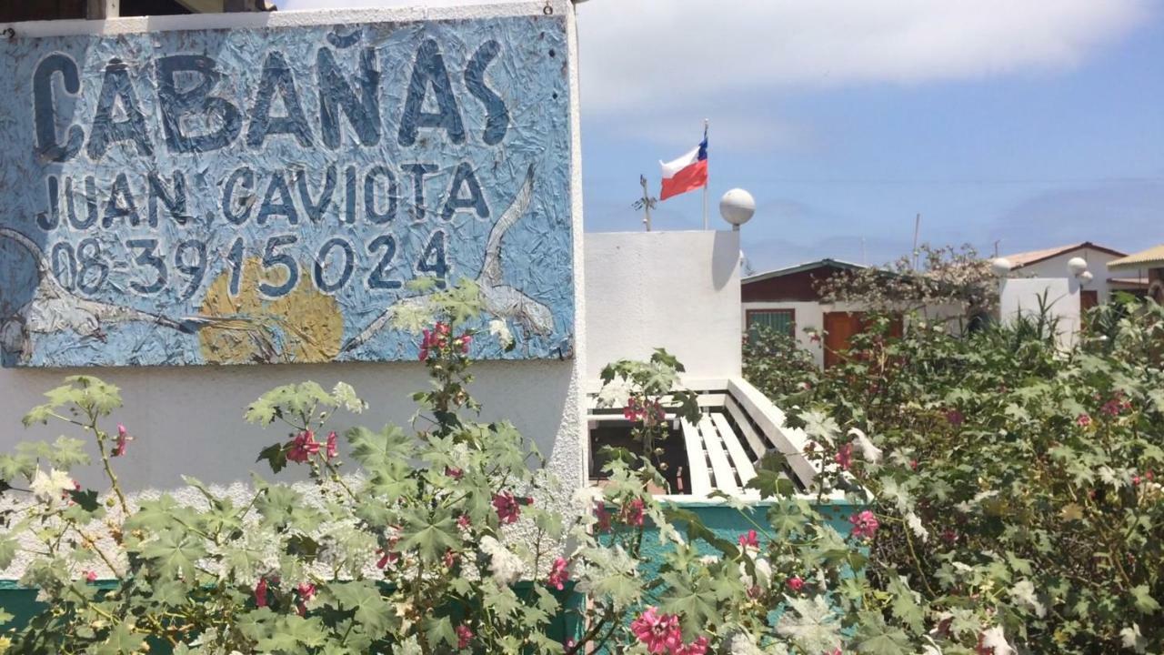 Cabanas Juan Gaviota Punta de Choros Exteriér fotografie