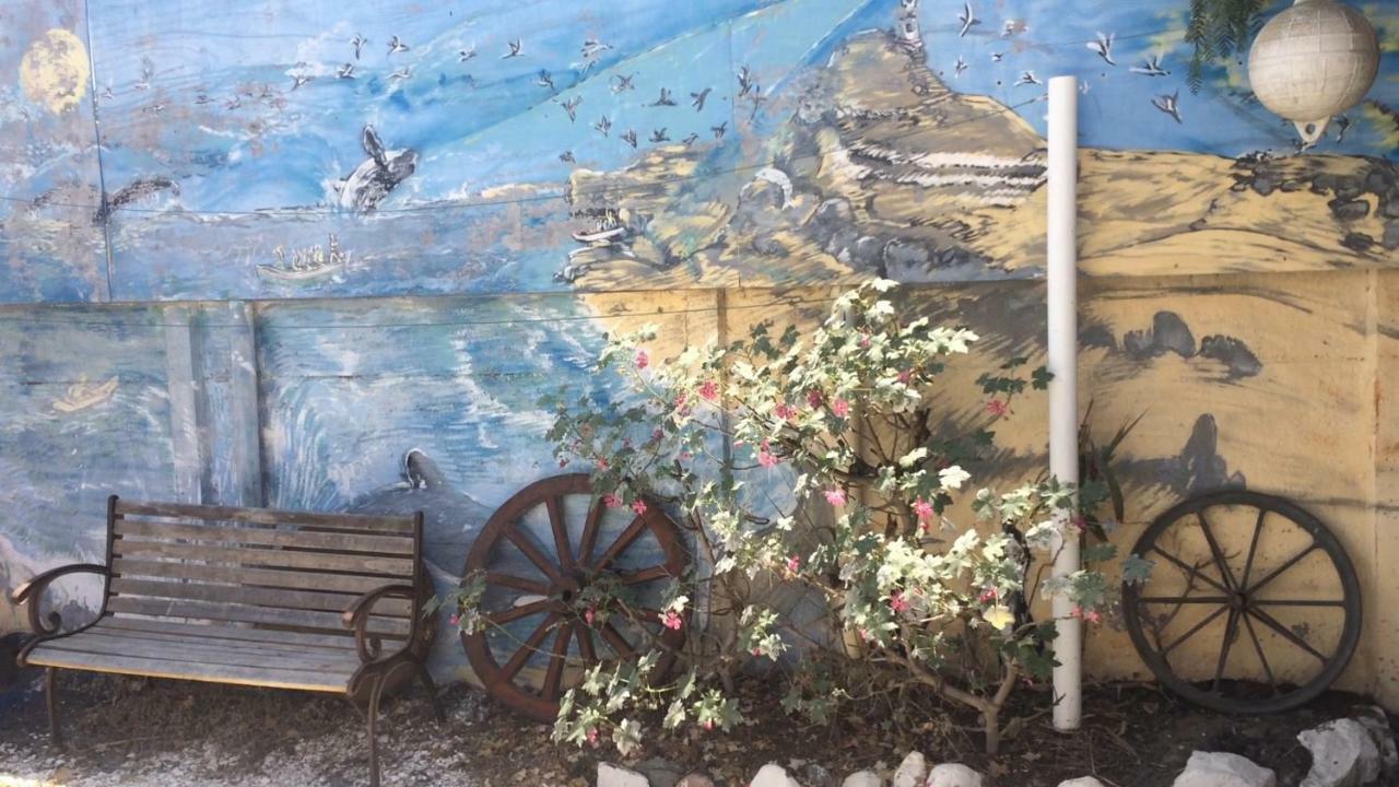 Cabanas Juan Gaviota Punta de Choros Exteriér fotografie