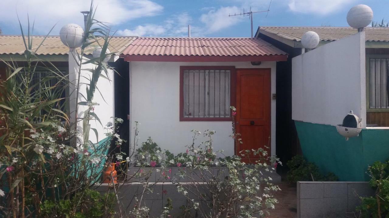 Cabanas Juan Gaviota Punta de Choros Exteriér fotografie