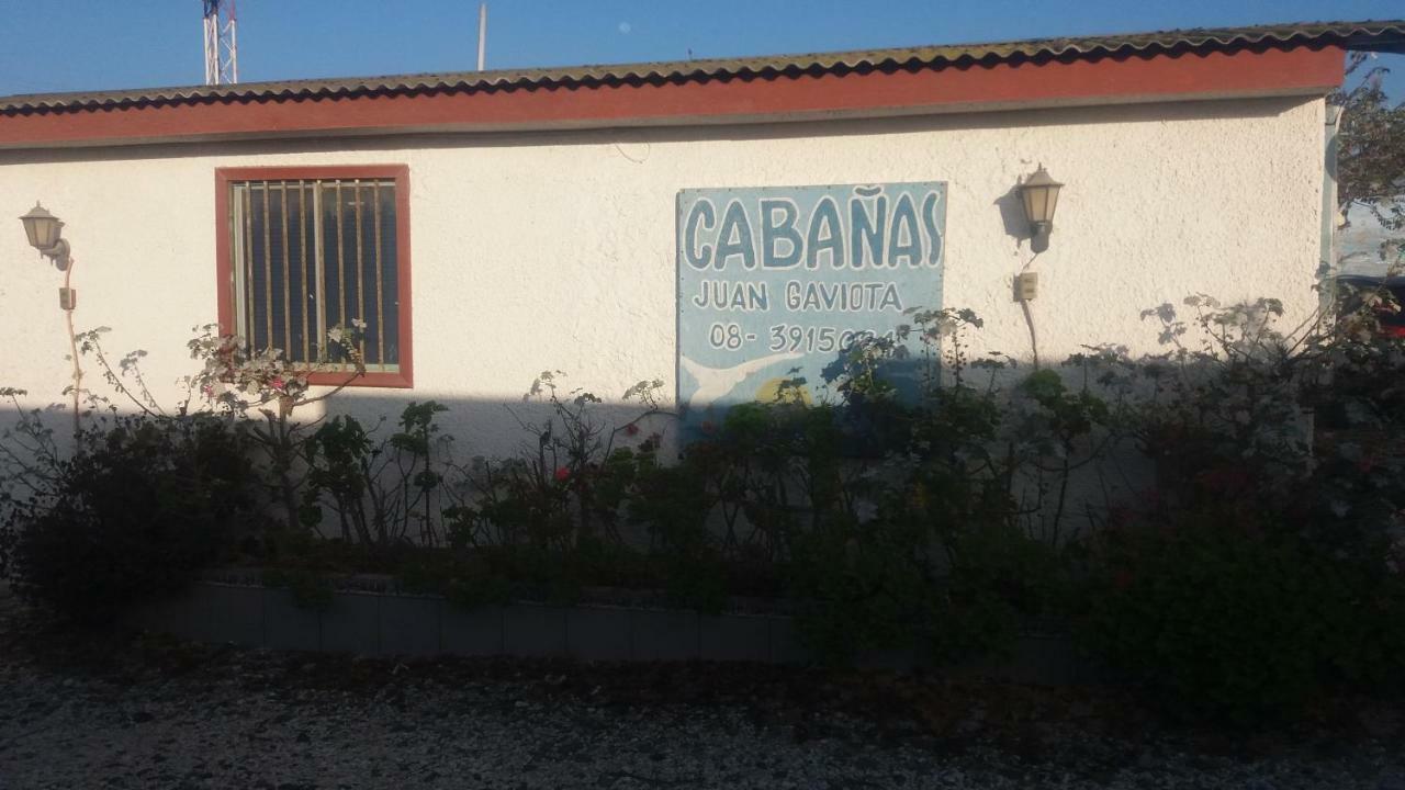 Cabanas Juan Gaviota Punta de Choros Exteriér fotografie